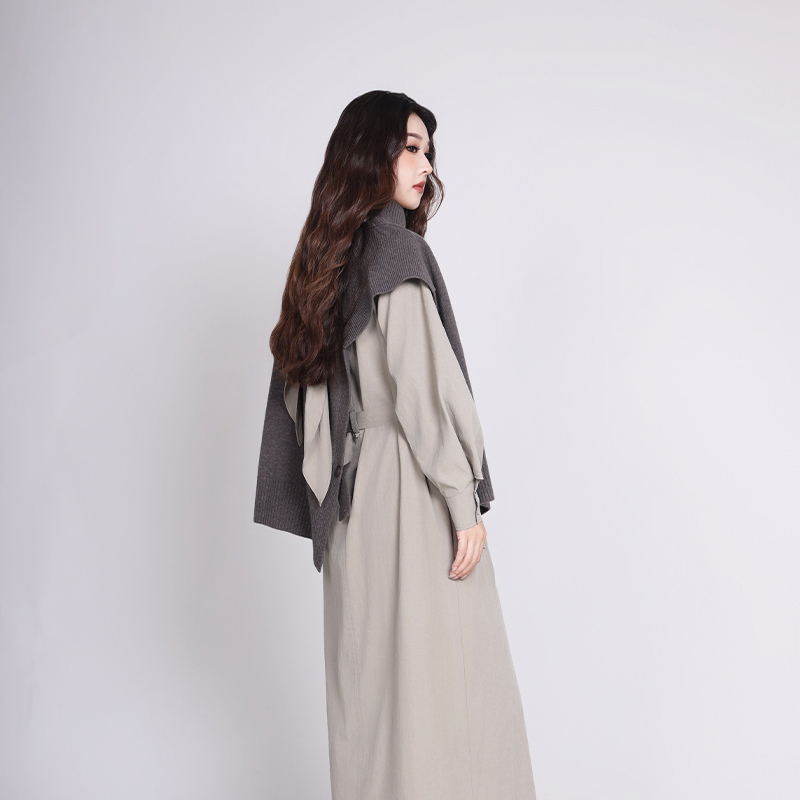 简表达25冬季新款中长款连衣裙