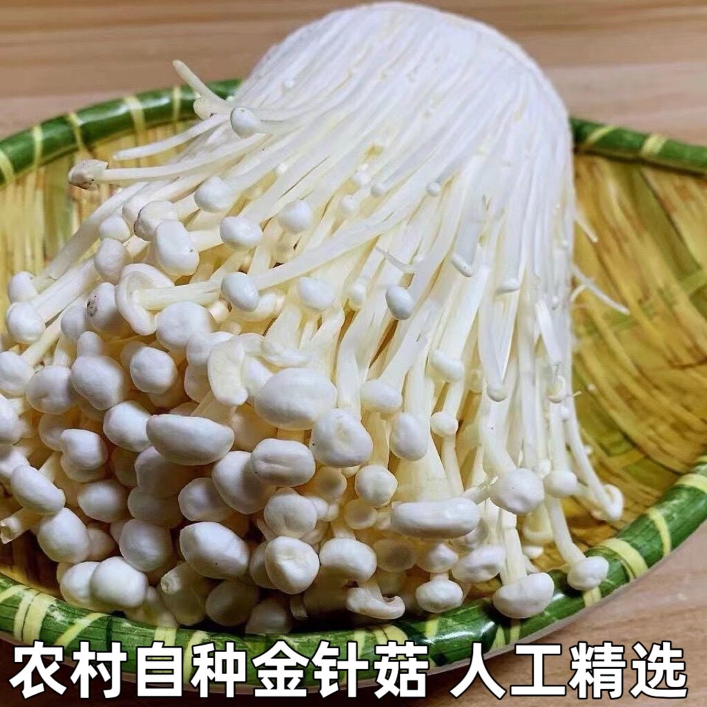 金针菇冬菇毛柄菌朴菇构菌金针菇新鲜蔬菜凉拌烧烤火锅素菜配包邮