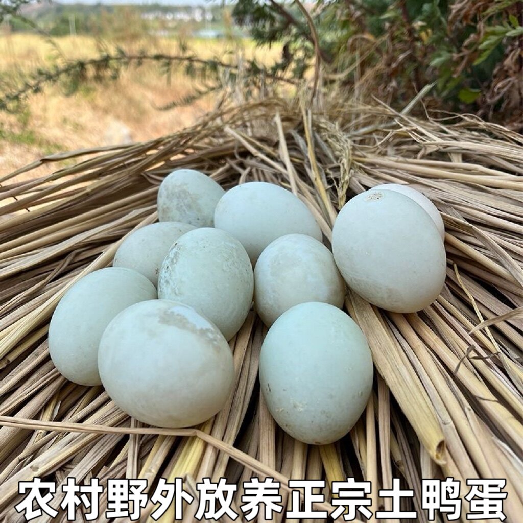 农家散养新鲜自养湖北农村纯野外放养生枚整箱笨草麻土鸭蛋包邮