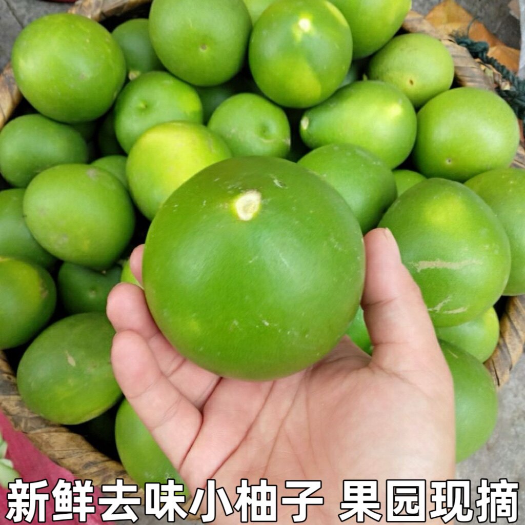 现摘新鲜小柚子柚子皮新房装修去柚子
