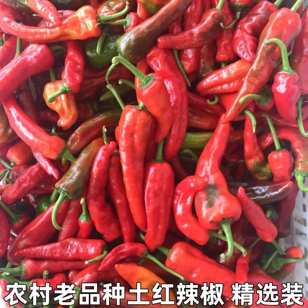 农村老奶奶自种红土辣椒红尖椒做酱剁椒本地新鲜土辣椒红辣椒包邮