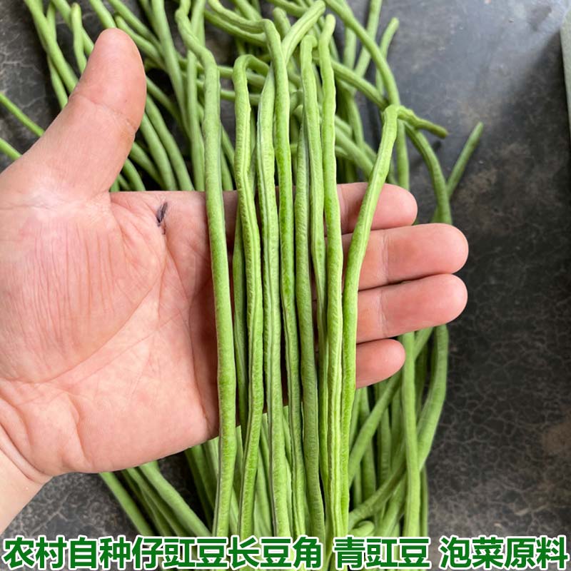 长豇豆酸豆角原材料新鲜豇豆长豆角嫩姜豆角豆挂豆角农家自种包邮