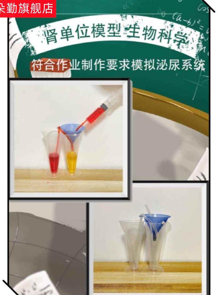 肾单位模型泌尿系统模型初中生物模型肾小球制作材料包尿液形成属于什么档次？