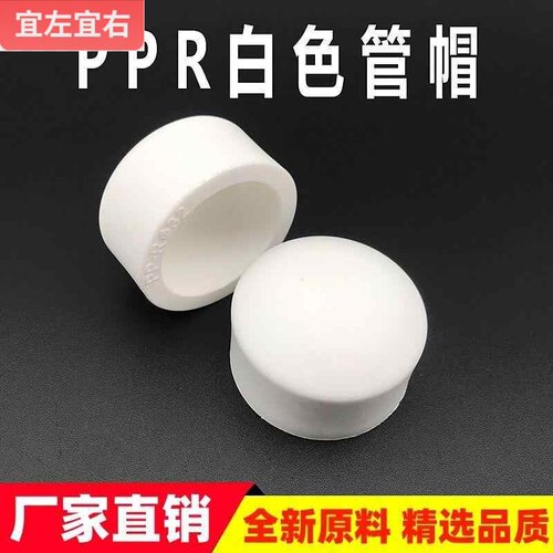 PPR204分2532管帽堵帽