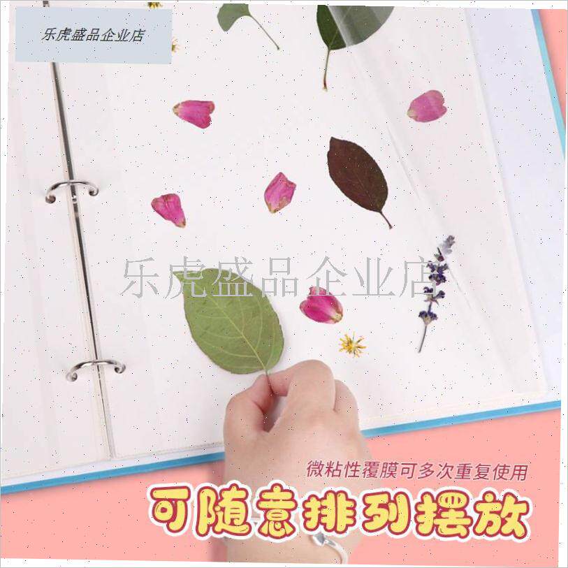 植物标本收集册干花压花树叶昆虫标本册叶子四叶R草枫叶收纳本di.