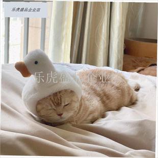大白鹅猫咪帽子宠物头套可u爱搞怪变装拍照卡通兔子鲷鱼烧狗狗头.