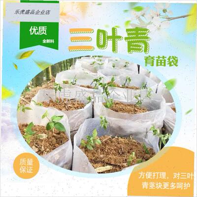 三叶青育苗袋 加厚塑p料育t苗袋 金线吊葫芦育苗袋 药材育苗容器.