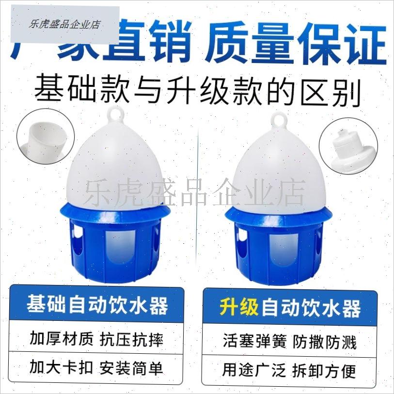 鸡水壶家禽养殖小鸡喝水槽鸡鸭鹅自动饮水器喂鸡V水壶养鸡设备专.