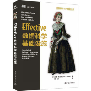 Effective数据科学基础设施(芬)维莱·图洛斯9787302641865书籍\/杂志\/报纸/计算机/网络/数据库