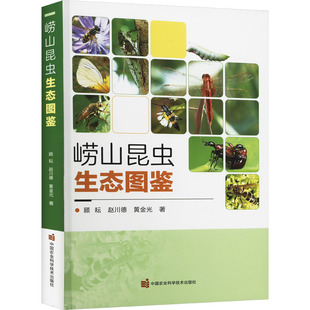 崂山昆虫生态图鉴顾耘,赵川德,黄金光 著9787511659798书籍\/杂志\/报纸/自然科学/生命科学/生物学