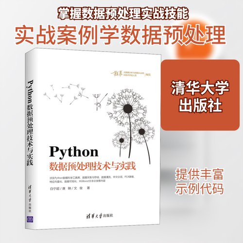 Python数据预处理技术与实践白宁超,唐聃,文俊 著9787302539711书籍\/杂志\/报纸/计算机/网络/程序设计（新）