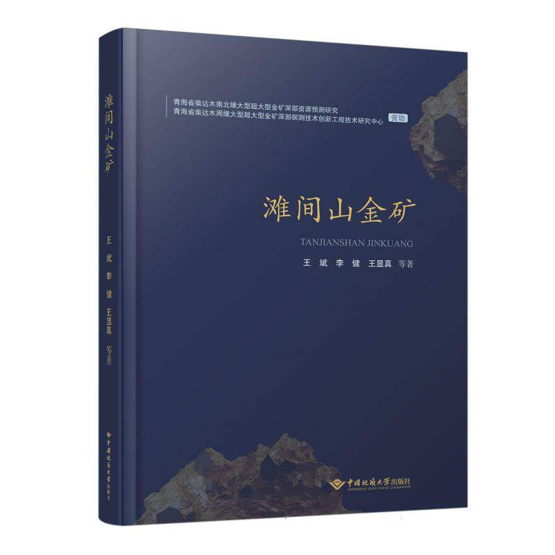 滩间山金矿王斌,李健,王显真 著9787562560357书籍\/杂志\/报纸/自然科学/地质学
