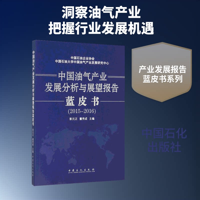 中油气业发展分析与展望报告蓝皮书彭元正,董秀成 主编 著9787511438775书籍\/杂志\/报纸/工业/农业技术/工业技术