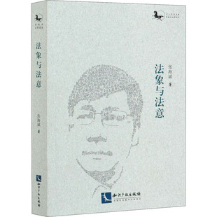 法象与法意张海斌9787513069847书籍\/杂志\/报纸/法律/学理
