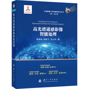 高光谱遥感影像智能处理张良培,钟燕飞,王心宇 著9787118133974书籍\/杂志\/报纸/工业/农业技术/冶金工业