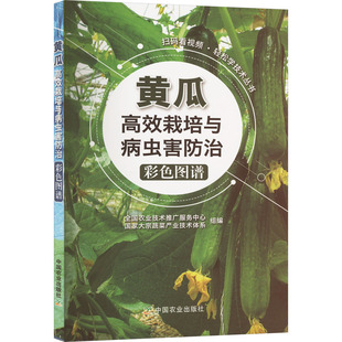 黄瓜栽培与病虫害防治彩色图谱全国农业技术推广服务中心,大宗蔬菜产业技术体系 编9787109233782