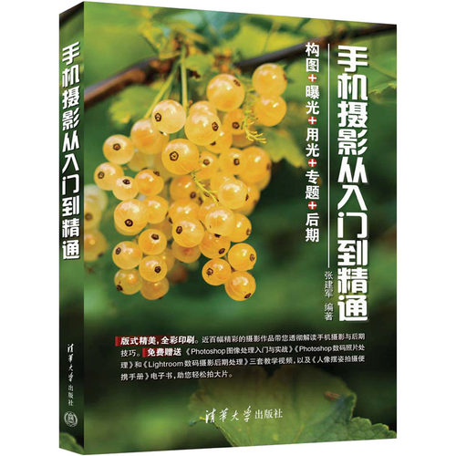 手机摄影从入门到精通张建军 编9787302620280书籍\/杂志\/报纸/艺术/艺术理论（新）