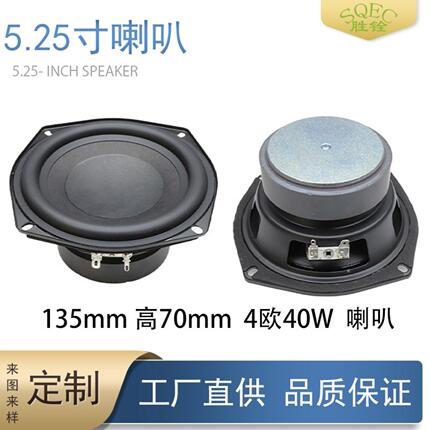 5.25inch Bass Speakers 4Ohm 40W High-Power 134mm High-Fidelity Multimedia Speaker for Audio Systems