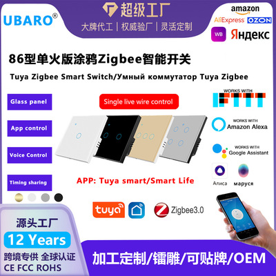 单火欧规Ziee涂鸦智能开关钢化