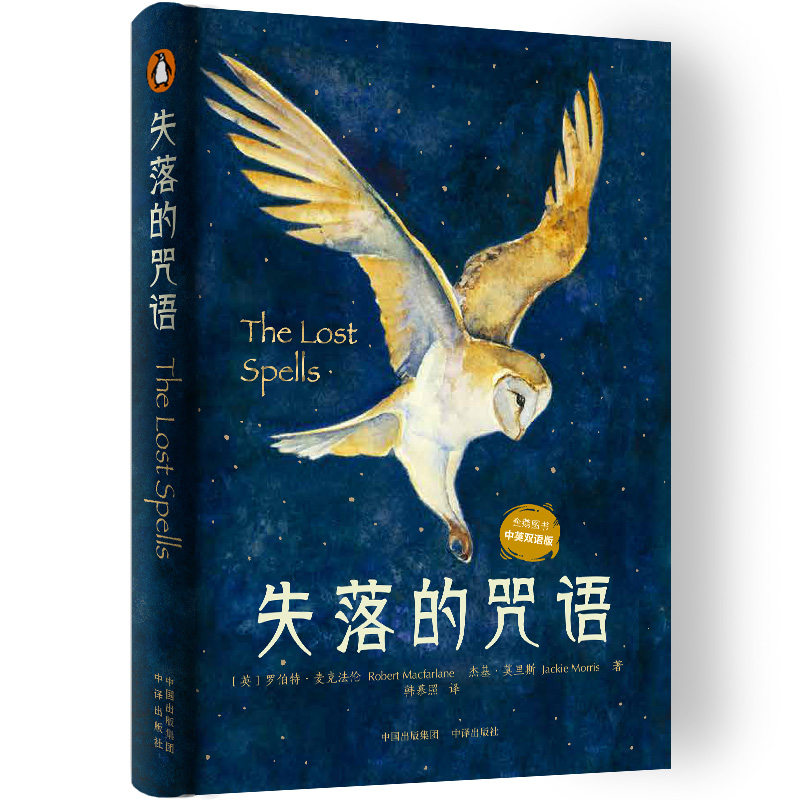 失落的咒语罗伯特麦克法伦