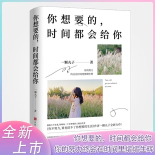 时间都会给你 疗愈暖文你 致奔跑在成功路上 有力度 努力终会在时间里熠熠生辉 你人生哲理青少年自我实现正能量书籍 你想要