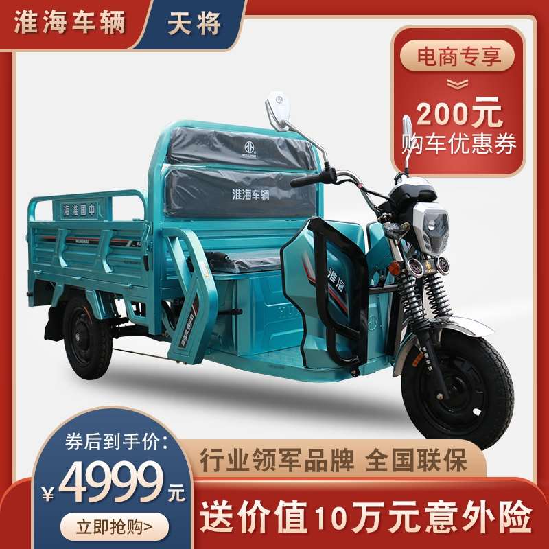 家居淮海电动三轮车拉货天将货车载重王家用小型山区