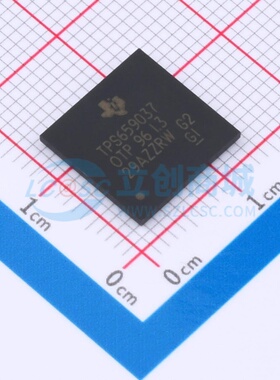 电源管理芯片(PMIC) TPS6590378ZWSR NFBGA-169 TI/德州 原装正品