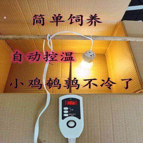 小鸡保温箱自动控制温度鹌鹑育雏箱幼鸟宠物保温箱育雏幼苗保温箱