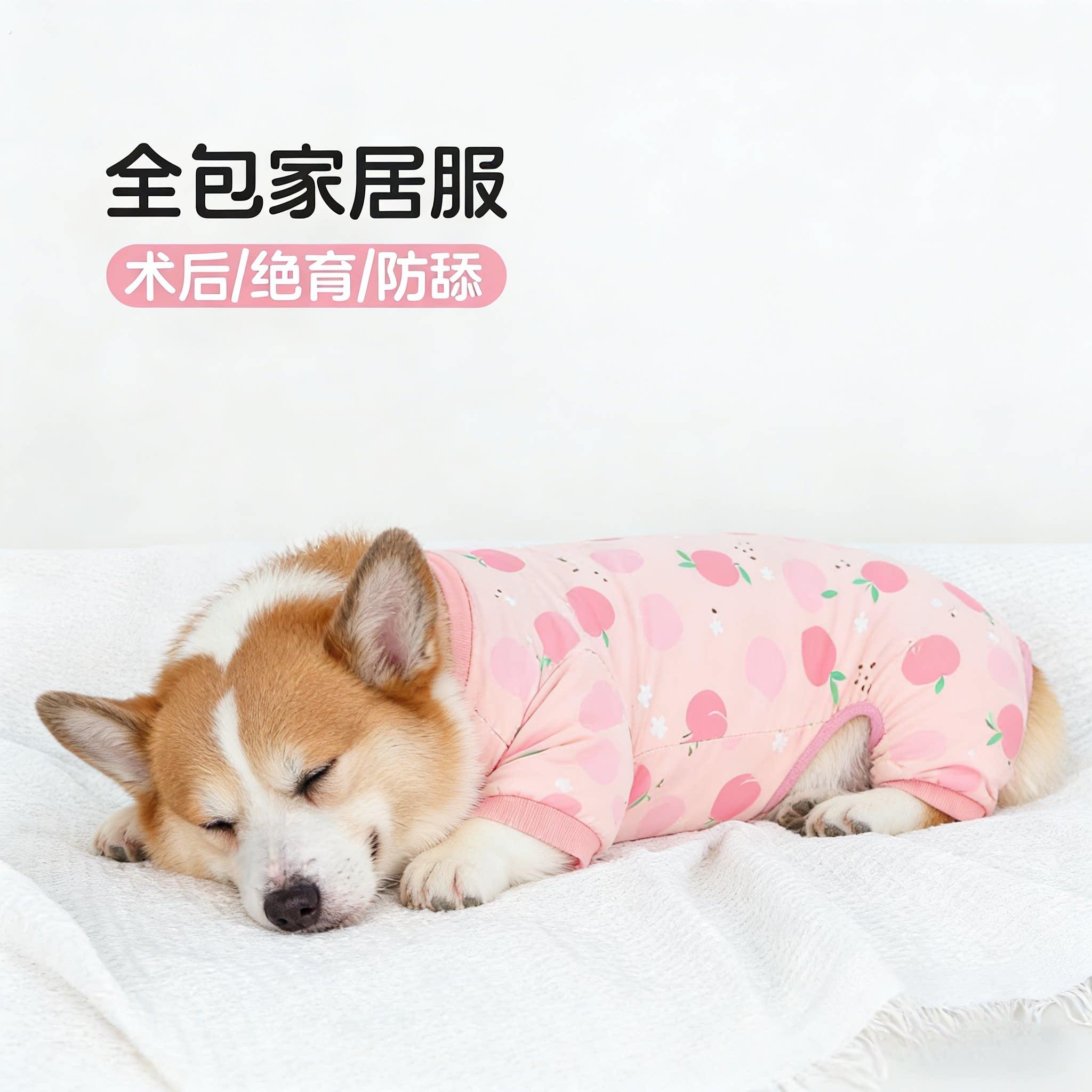 宠物狗狗衣服四脚居家服柯基衣服背心防掉毛护肚子术后防舔绝育服