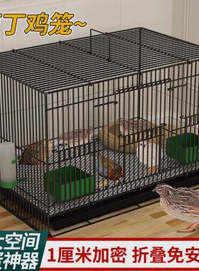 芦丁鸡专用养殖笼子家用加密大号芦丁鸡铁丝笼小鸡小鸭子鹌鹑鸟笼