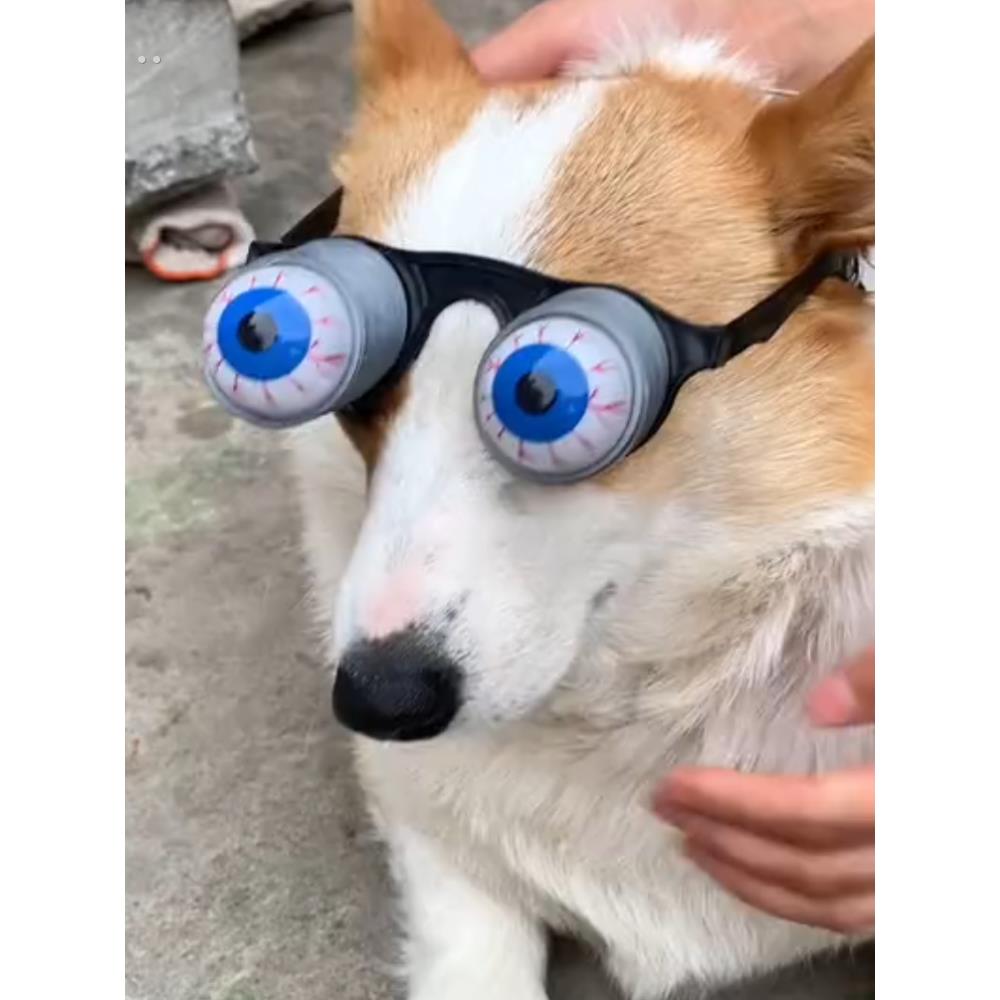 创意整蛊弹簧眼镜瞪眼狗狗突眼玩具搞怪小玩意奇葩搞笑恶作剧道具