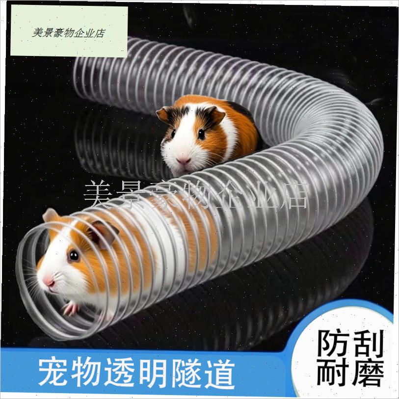 兔子荷兰猪花枝鼠貂隧道钻洞躲避宠物透明地下隧T道透明豚鼠玩具.