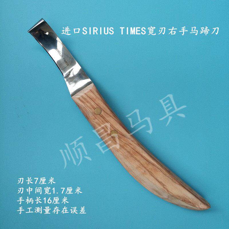 进口专业马蹄刀马术马匹