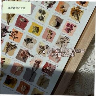 植物标本收集册树叶收集册干花相框成品I树叶标本相框画框摆件di.