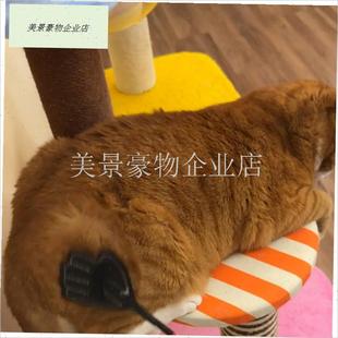 猫咪打屁股玩具爱心拍子自嗨解闷神器逗猫棒宠S物大小狗训练器教.