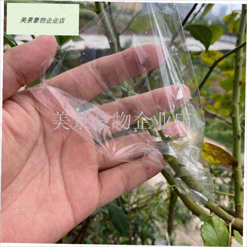 果树嫁接专用套袋l神器树木植物缠绕膜保湿袋保鲜膜自封袋密封袋.