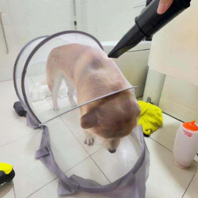 【防飞毛洗狗神器】网纱吹风罩中小型犬猫咪防乱跑洗澡家用防掉毛