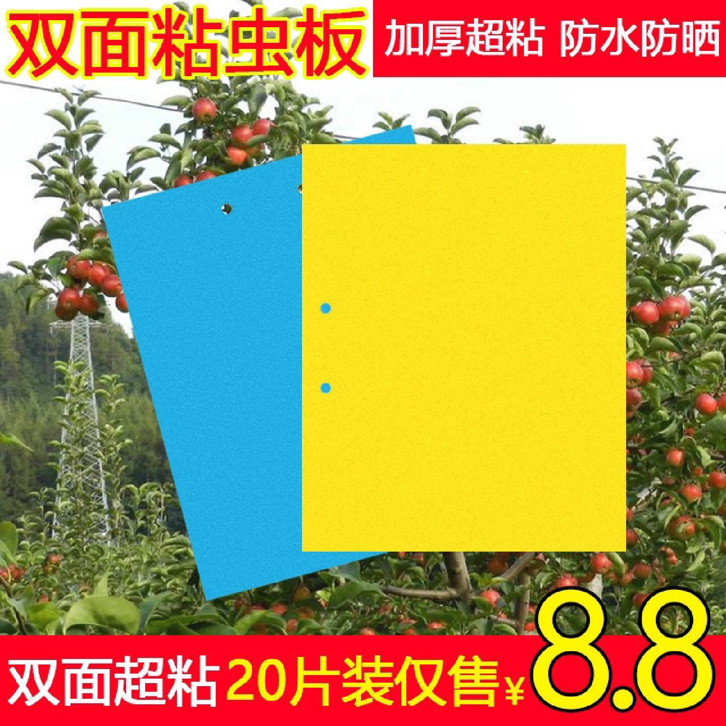 粘虫板针蜂小飞虫黄板粘蝇板防水大棚诱虫板蓟马粘板果蝇腻虫粘板