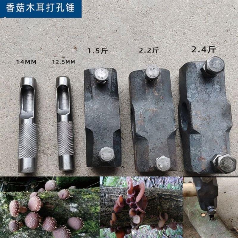 种香菇工具锤椴木菌种打孔锤 木耳打孔锤 双头打孔器锻打一整套