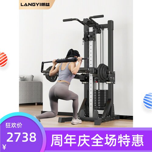 朗益_高位下拉龙门架家用健身器材多功能一体小型飞鸟综合训练器