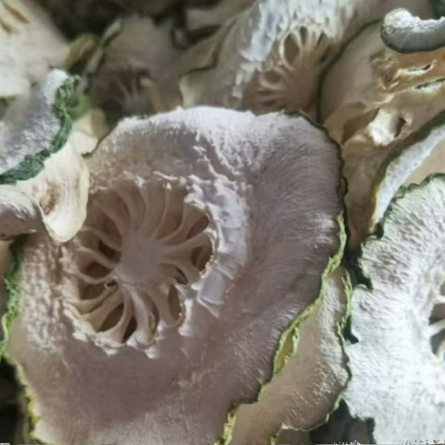 云南野生中药材香橼干片500g农家天然无硫自然晒干香园干片泡水喝
