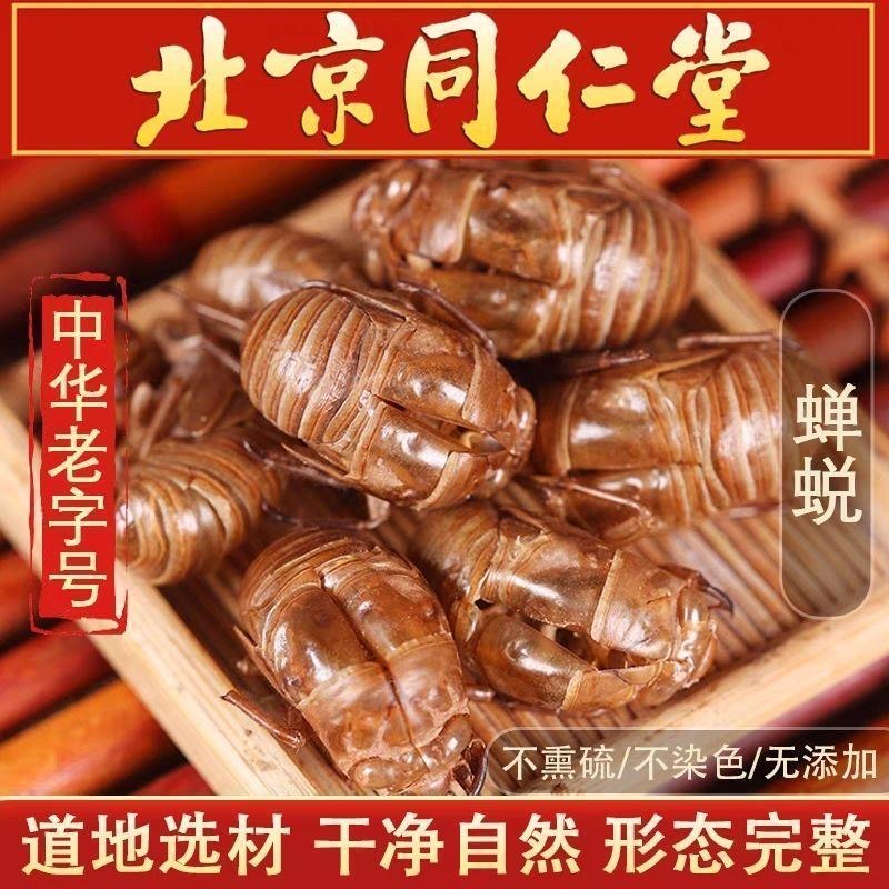 野生蝉蜕500g克中药材蝉衣新货金蝉衣知了皮知了壳虫退蝉退壳包邮