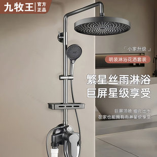 加厚全铜明装淋浴花洒套装家用卫生间沐浴室增压明管明接淋浴龙头
