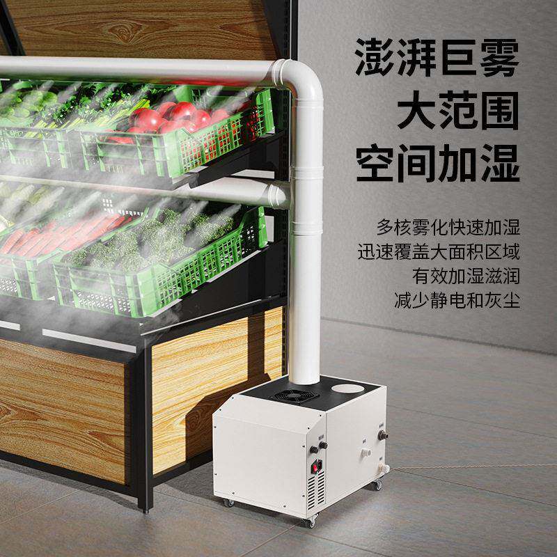 超声波工业加湿器大型大雾量蔬菜保鲜雾化喷雾机车间仓库烟草回潮