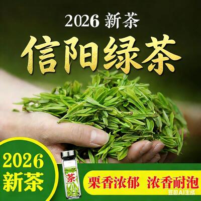 茶叶毛尖茶2026新茶高山云雾绿茶散装信阳绿茶浓香耐泡口粮茶散装