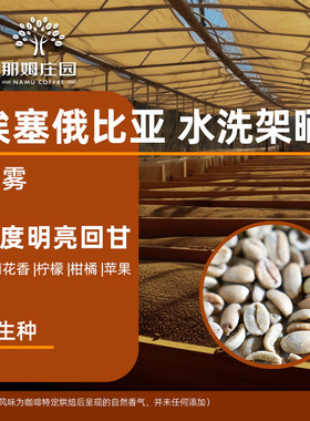 新产季橙雾 埃塞俄比亚科切尔处理站精品咖啡生豆原料可代烘焙