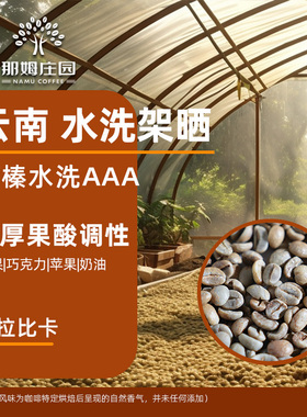 那姆庄园醇榛水洗AAA 水洗阿拉比卡云南咖啡生豆原料可代烘焙1KG