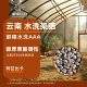 那姆庄园醇榛水洗AAA 水洗阿拉比卡云南咖啡生豆原料可代烘焙1KG