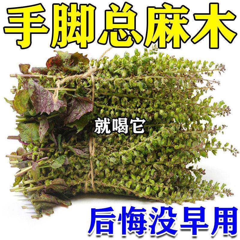 【麻木死对头】手脚麻木特效专用治颈椎压迫神经头晕四肢药麻木茶