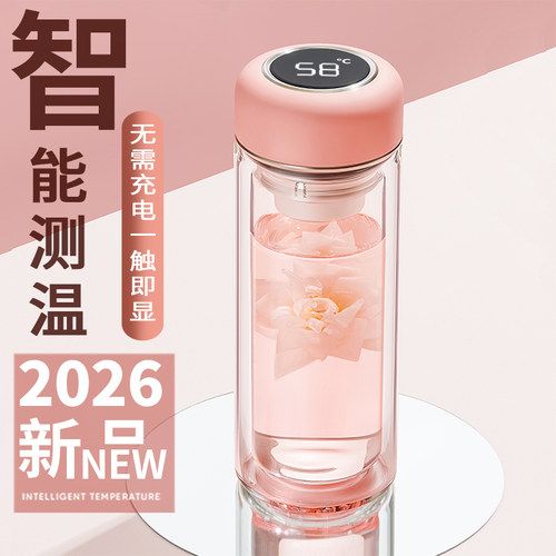 双层玻璃杯女士水杯可爱网红茶杯